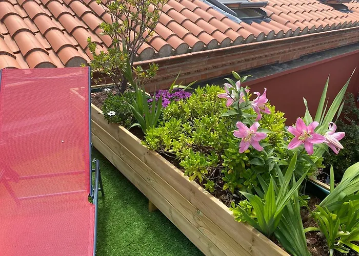 Le Patio Père Pigne Guestroom